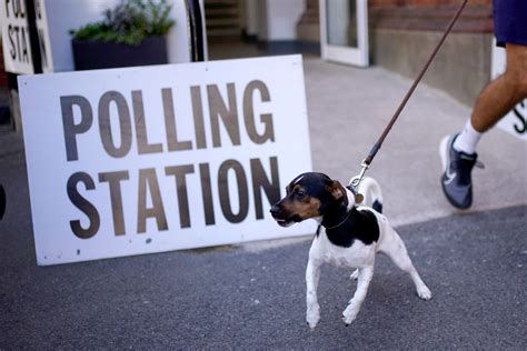 Fact check: Pencils are normally used to vote as ink can obscure .